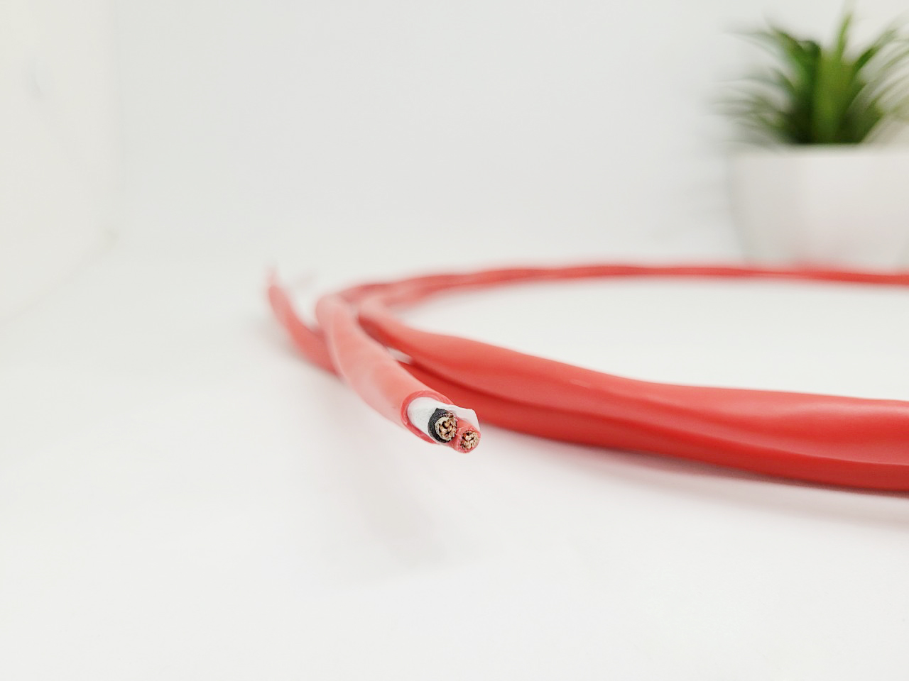 Cáp điều khiển phòng cháy LS SAHAKO không chống nhiễu  Cáp điều khiển phòng cháy LS SAHAKO không chống nhiễu