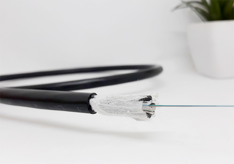 Cáp quang luồn cống 8FO Singlemode