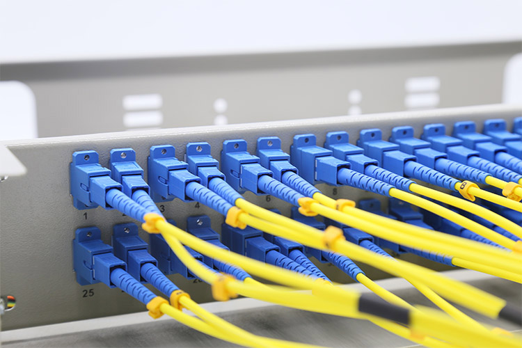 Kết nối hộp ODF quang 48FO với dây nhảy quang Singlemode
