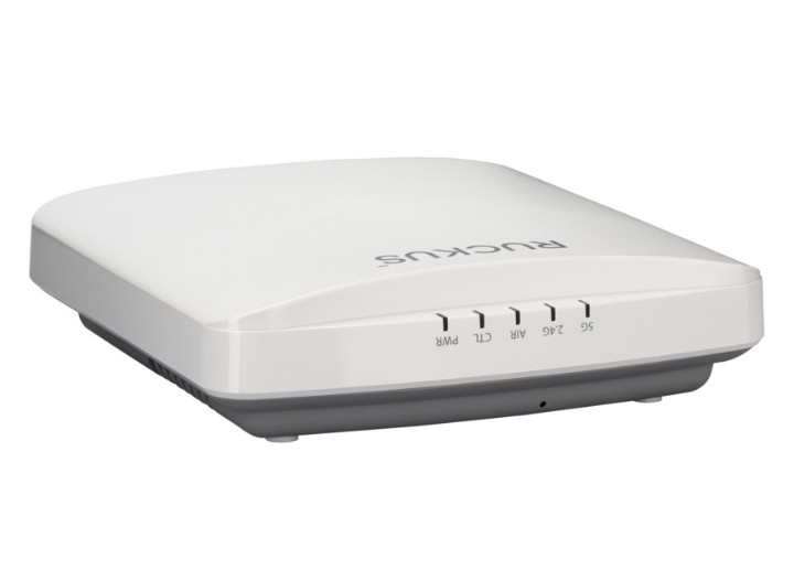 Wireless Access Point Ruckus
