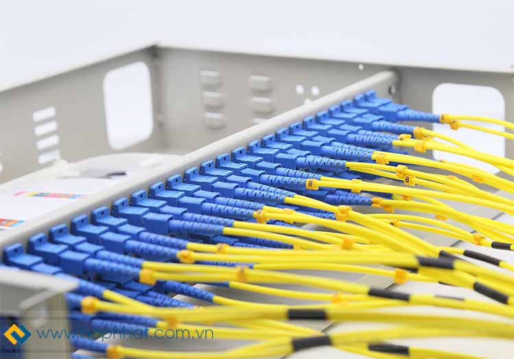 Dây nhảy quang Duplex