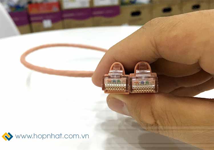 Đầu nối dây nhảy Cat5e hãng Legrand chất lượng tốt Đầu nối dây nhảy Cat5e hãng Legrand chất lượng tốt
