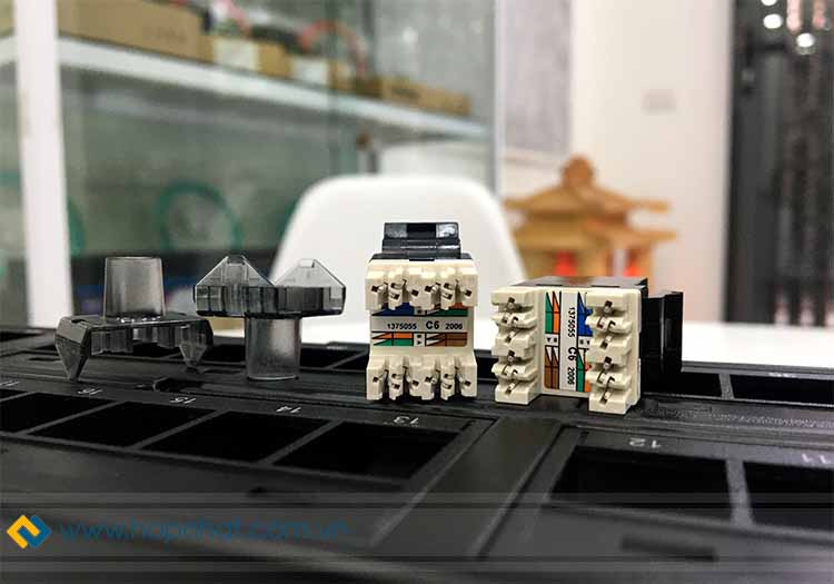 Nhân mạng Patch Panel Cat6