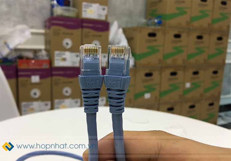 Dây nhảy Cat6 UTP chính hãng Legrand