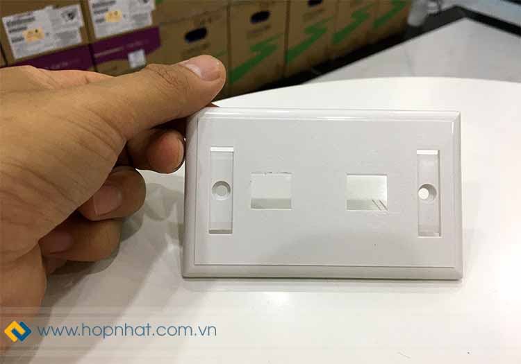 Trên tay mặt Wall Plate hãng Legrand Trên tay mặt Wall Plate hãng Legrand