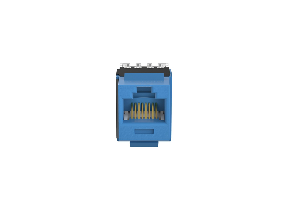 Nhân mạng Cat6A Panduit chính hãng