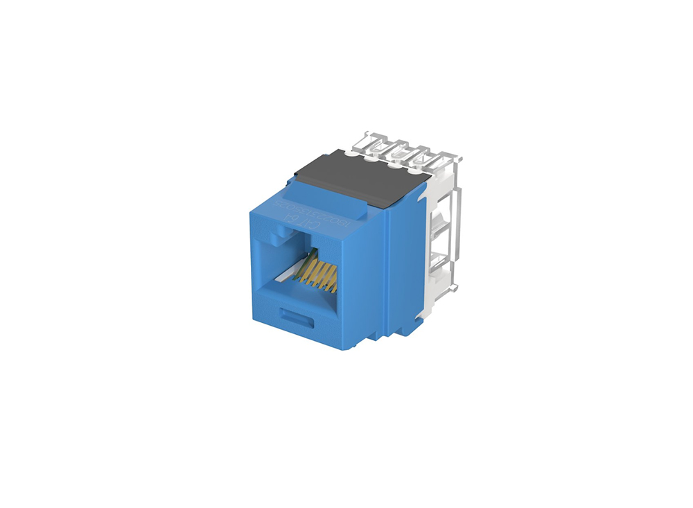 Nhân mạng Cat6A Panduit chính hãng