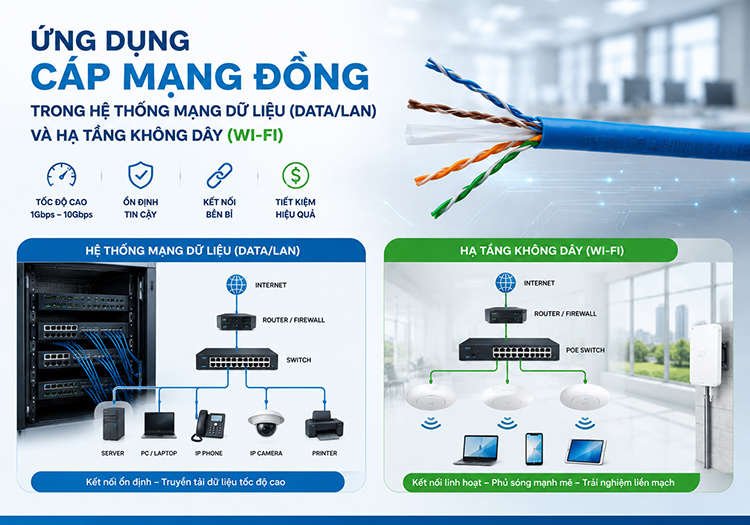 Hệ thống mạng dữ liệu (Data/LAN) và Hạ tầng Không dây (Wi-Fi)