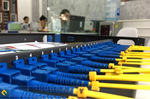 Phân biệt và nhận biết các loại dây nhảy quang như nào?