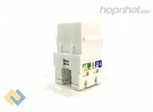 Nhân mạng Cat6 Legrand