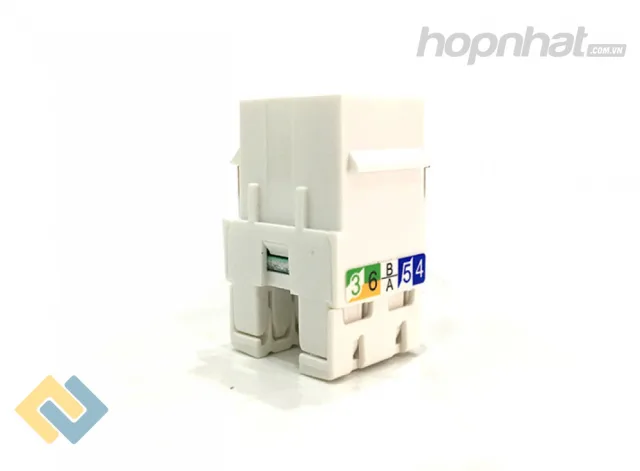 Nhân mạng Cat6 Legrand