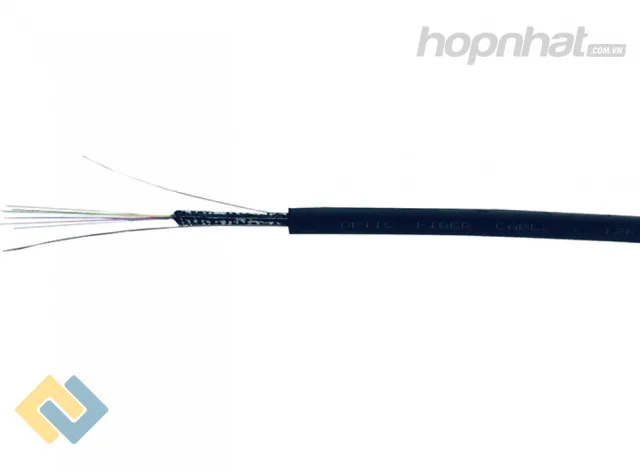 Cáp quang 12FO Multimode
