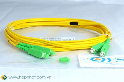 Sự khác nhau giữa dây nhảy chuẩn UPC và APC