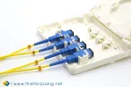 ODF 4FO Trong nhà vỏ nhựa treo tường