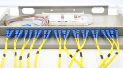 Mở hộp ODF 24FO phân phối bởi Hợp Nhất