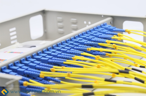 Mở hộp ODF 48FO phân phối bởi Hợp Nhất