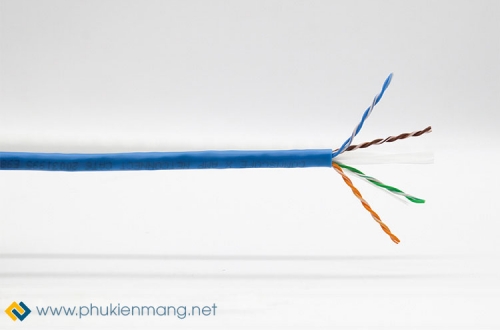 Dây cáp mạng Cat6 các loại phổ biến nhất hiện nay