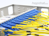 Ảnh thu nhỏ ODF 48FO