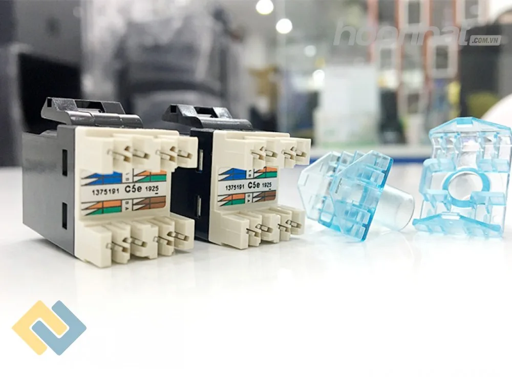 Nhân mạng Cat5e Commscope
