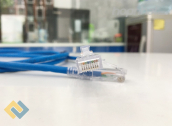 Ảnh thu nhỏ Dây nhảy Cat5e AMP chính hãng