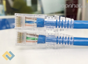 Ảnh thu nhỏ Dây nhảy Cat5e AMP chính hãng