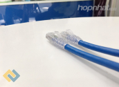 Ảnh thu nhỏ Dây nhảy Cat5e AMP chính hãng