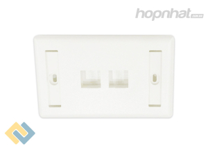 Mặt mạng 2 cổng Panduit