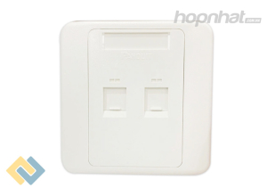 Mặt mạng đôi Panduit