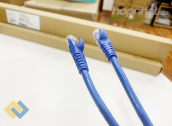 Ảnh thu nhỏ Dây nhảy mạng Cat6 Panduit NKU6PC2MBU
