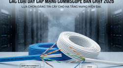 Các loại dây cáp mạng Commscope được sử dụng 2026