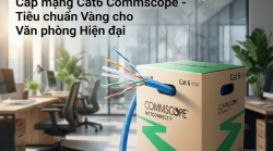 Cáp mạng Cat6 Commscope tiêu chuẩn vàng cho văn phòng hiện đại 2026