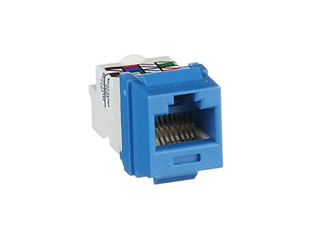 Nhân mạng Cat6 Panduit