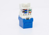 Ảnh thu nhỏ Nhân mạng Cat6 Panduit NK6TMBU