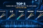 Top 5 thương hiệu cáp mạng đồng uy tín, chất lượng cho dự án lớn