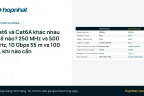 Cat6 và Cat6A khác nhau thế nào? 250 MHz vs 500 MHz, 10 Gbps 55 m vs 100 m, khi nào cần