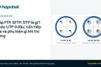 Cáp FTP, SFTP, STP là gì? Khác UTP ở đâu, cần tiếp địa và phụ kiện gì khi thi công