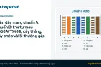 Bấm dây mạng chuẩn A, chuẩn B: thứ tự màu T568A/T568B, dây thẳng, dây chéo và lỗi thường gặp