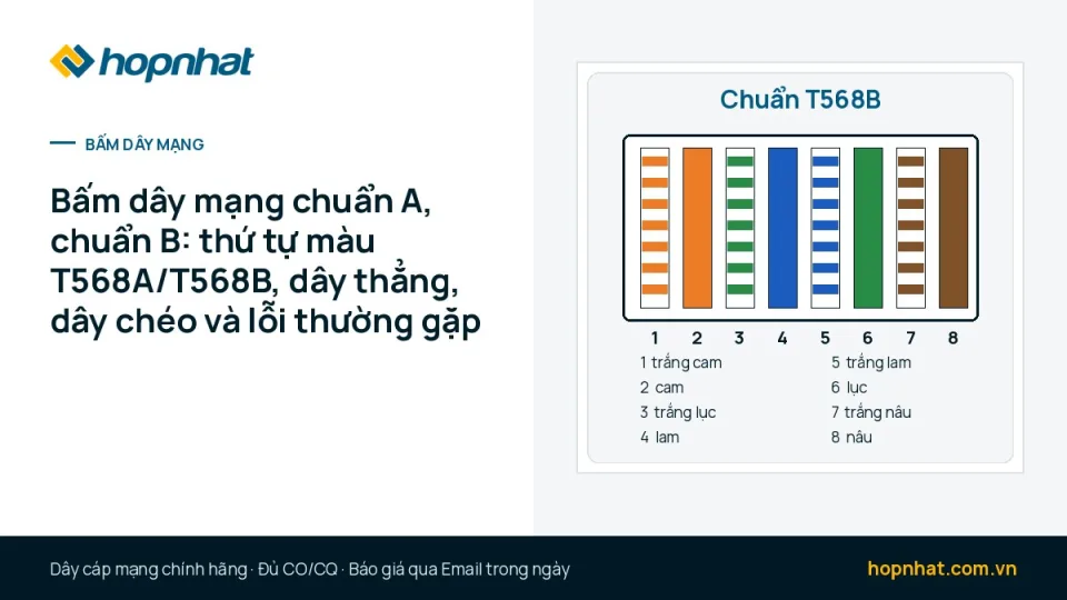 Bấm dây mạng chuẩn A, chuẩn B: thứ tự màu T568A/T568B, dây thẳng, dây chéo và lỗi thường gặp
