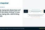 Dây mạng kéo được bao xa? Nối dài được không? Vì sao dây mạng yếu, cắm không nhận