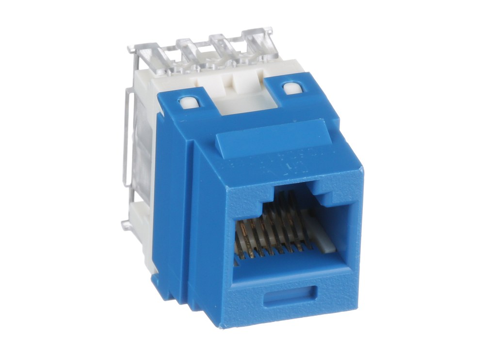 NK688MBU nhìn nghiêng phải, nhân mạng keystone màu xanh của Panduit