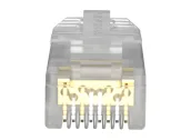Ảnh thu nhỏ Hạt mạng SP6X88-C nhìn chính diện, ảnh sản phẩm Panduit