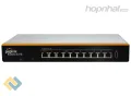 Peplink 210