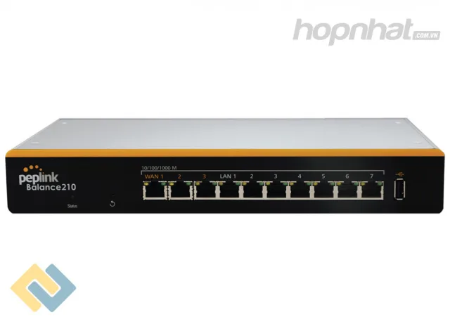 Peplink 210