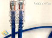 Ảnh thu nhỏ Dây nhảy mạng Cat6