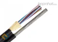 Cáp quang 24FO Singlemode